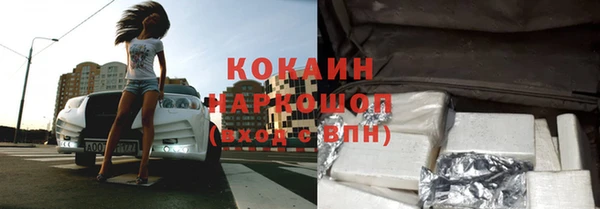 ПСИЛОЦИБИНОВЫЕ ГРИБЫ Белокуриха