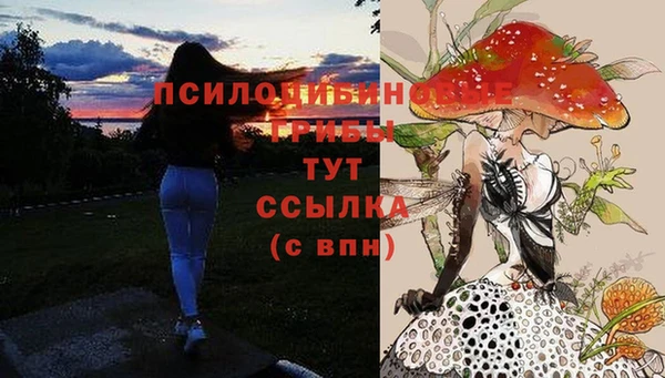 ешки Белоозёрский