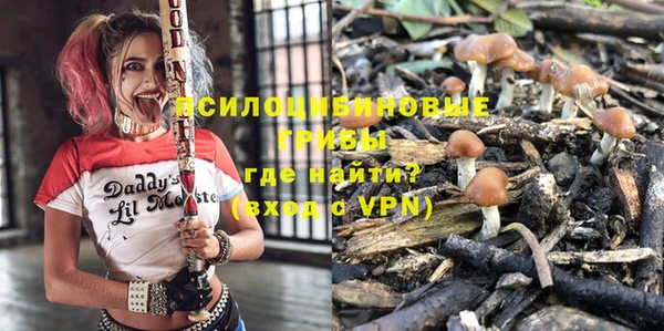 ешки Белоозёрский