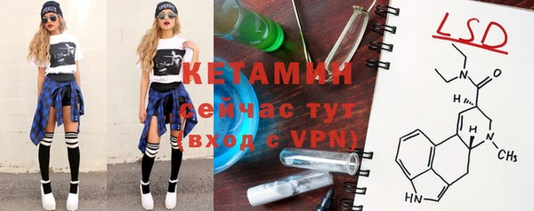 ПСИЛОЦИБИНОВЫЕ ГРИБЫ Белокуриха
