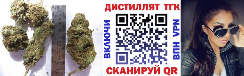 Купить закладки  Лосино-Петровский  Дистиллят ТГК концентрат 