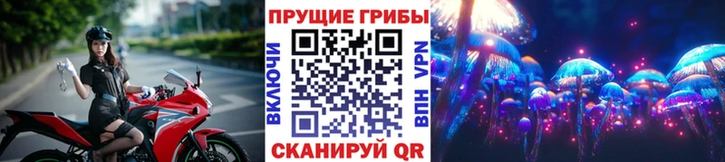 Купить  Лосино-Петровский  Псилоцибиновые грибы прущие грибы 